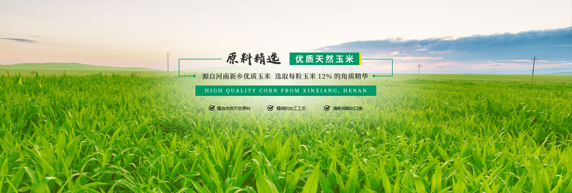 新乡市龙山庄园粮食加工有限公司