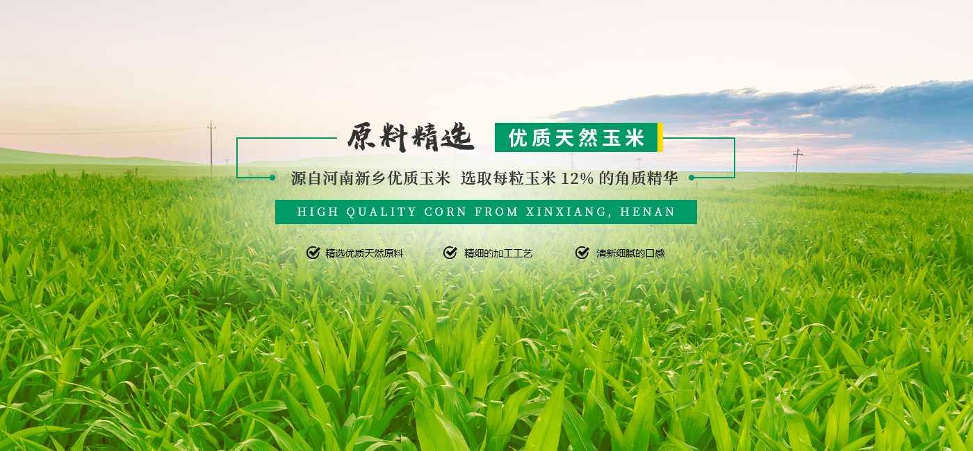 新乡市龙山庄园粮食加工有限公司